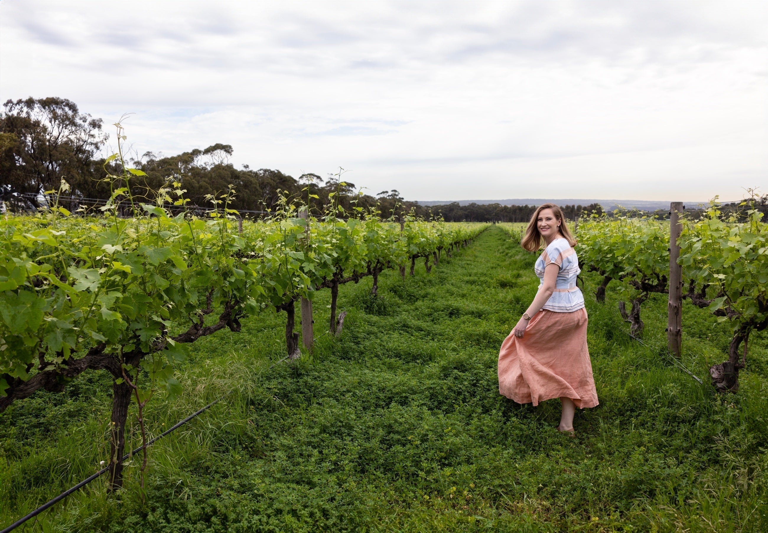From Barrel to Bottle: Winter News from Bec Hardy Wines
