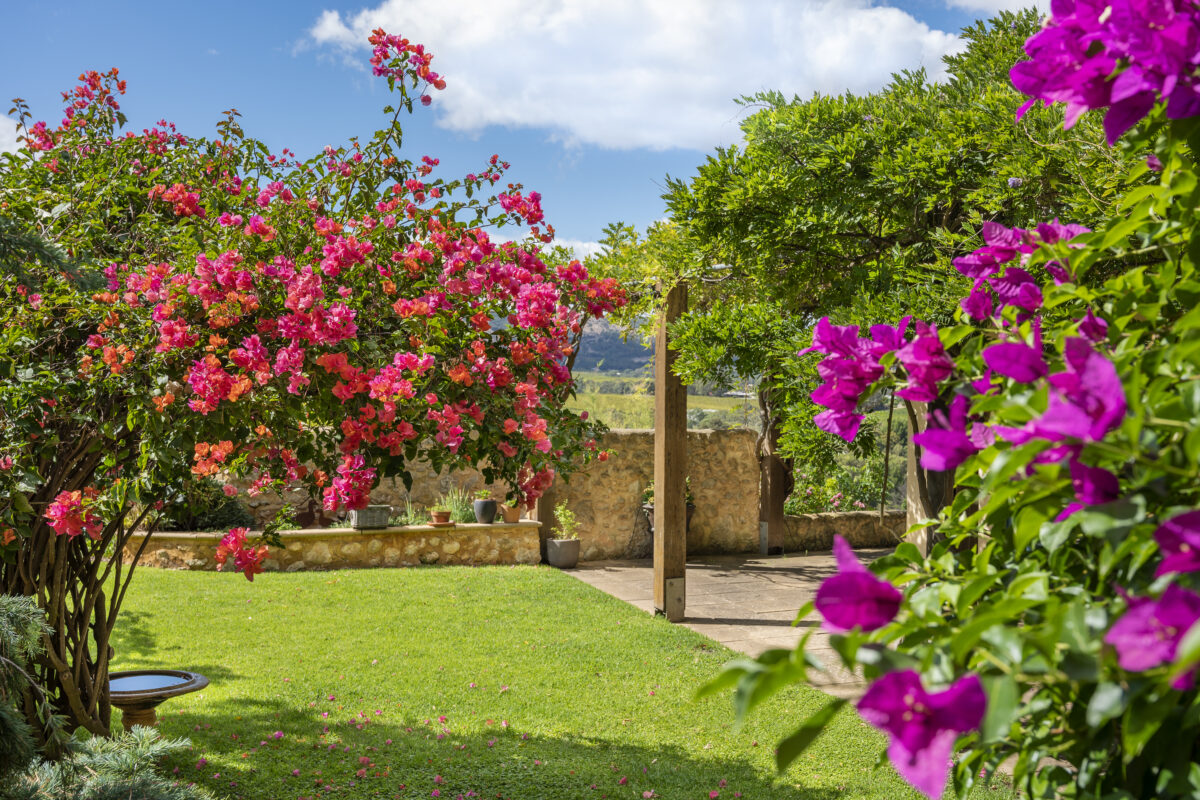 Tipsy Hill listed in Top 25 gardens of South Australia