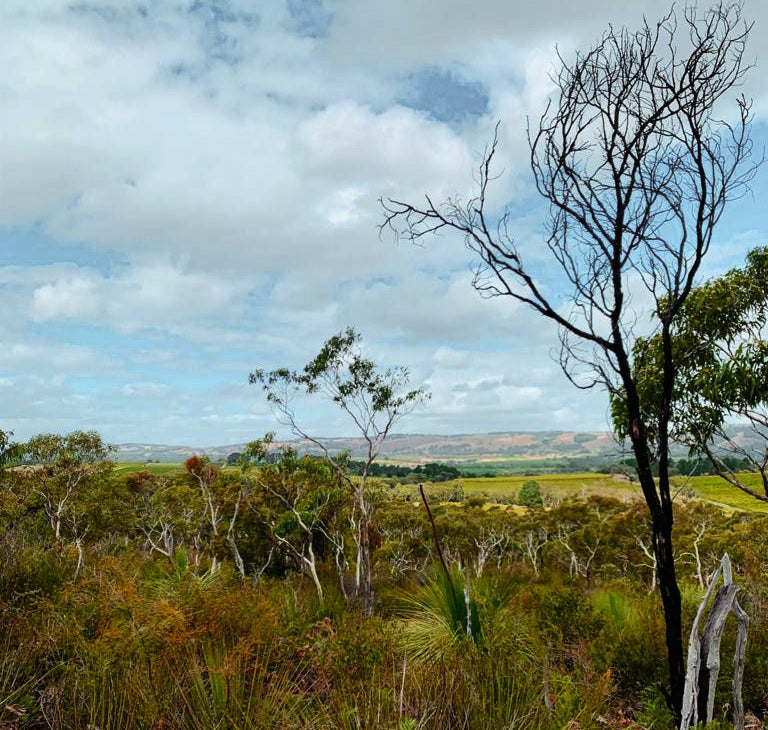 Take in the beauty of McLaren Vale with an autumnal hike