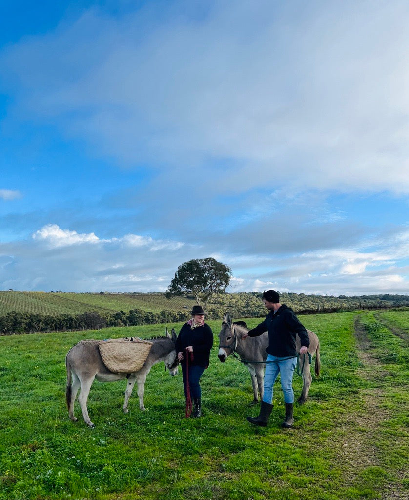 What's on This Winter in McLaren Vale?