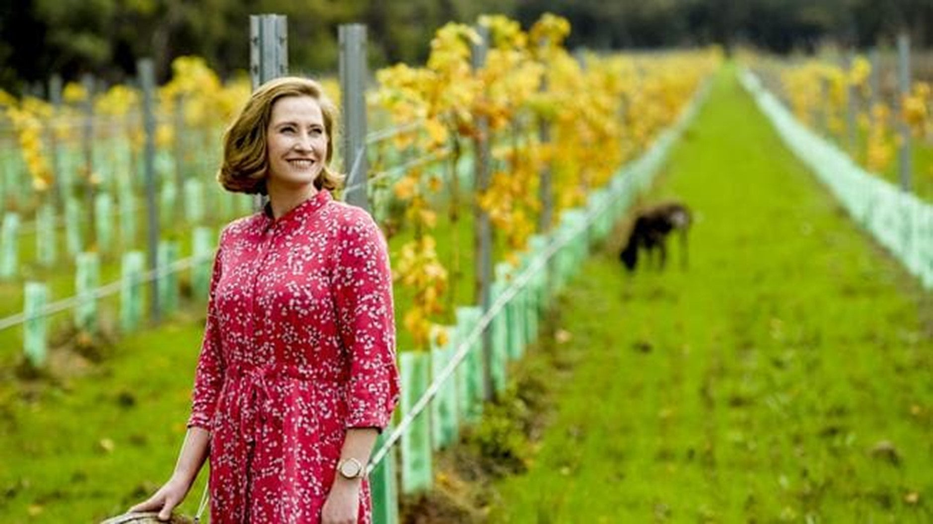 The Australian: Hardy survivors tap into auspicious opportunities amid China wine tariffs