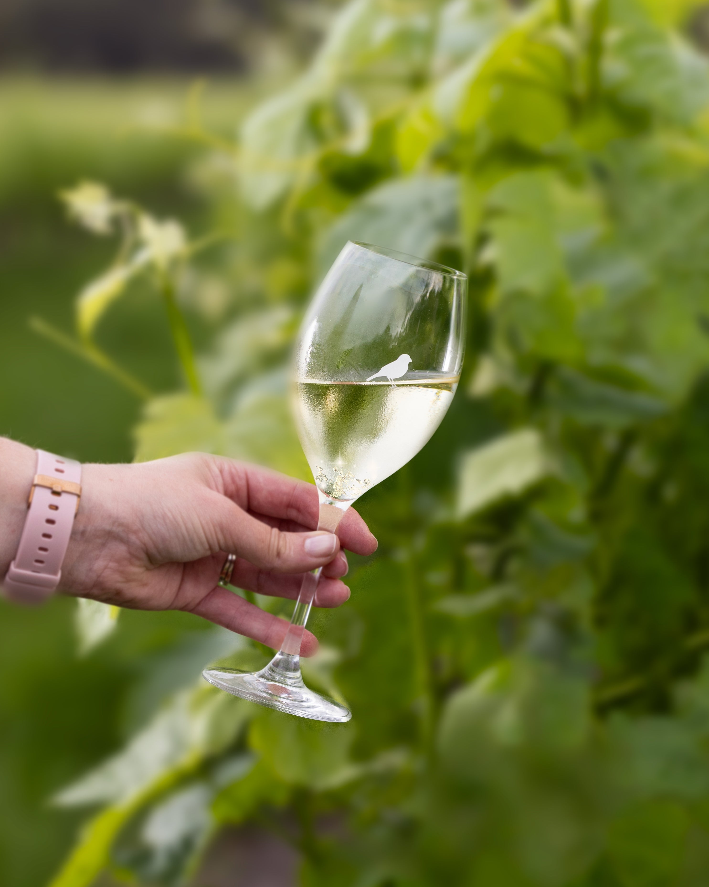 Wine Diamonds: The Sparkle You Didn’t Expect