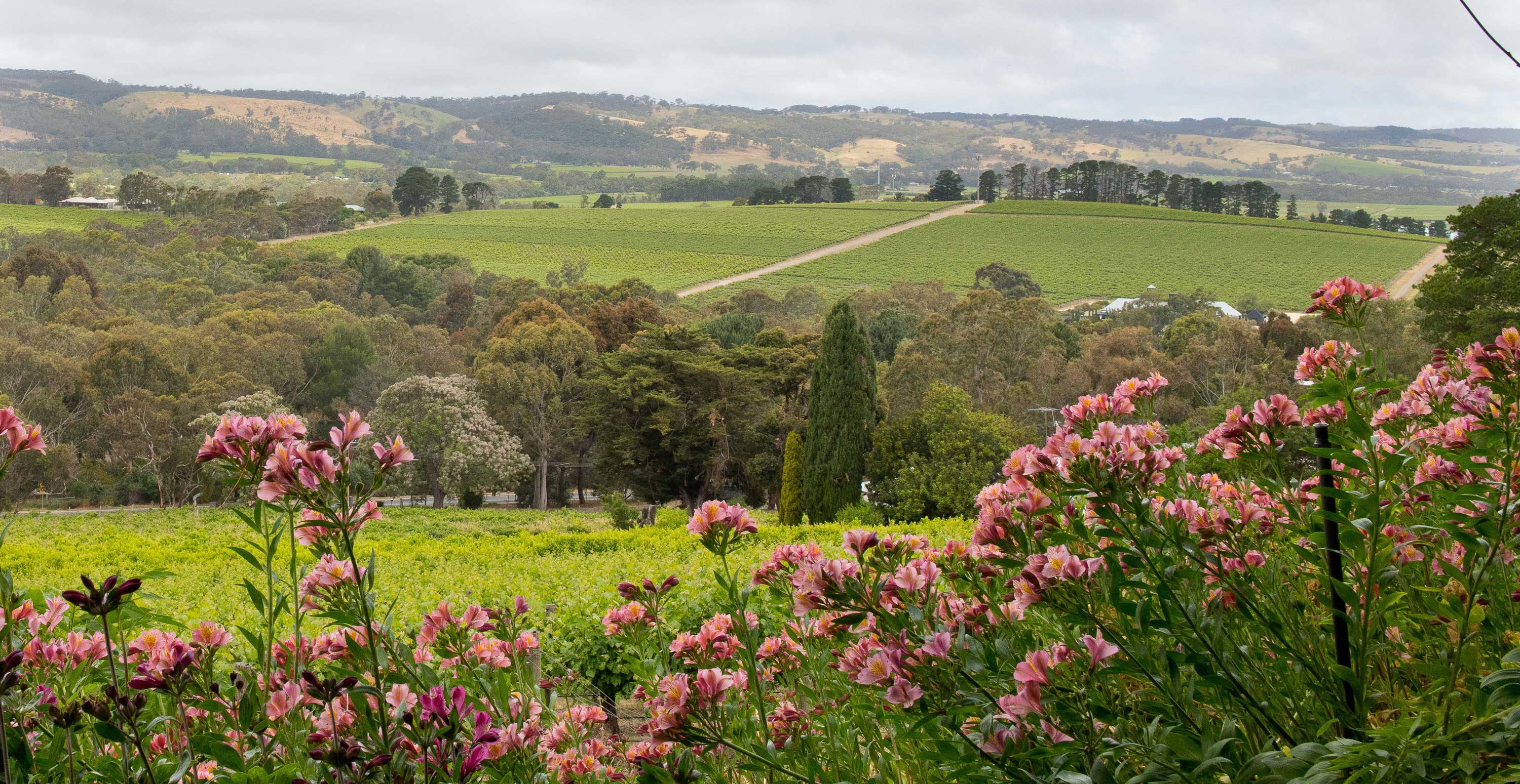 Meet Your New Neighbours: Valtteri Bottas & Tiffany Cromwell in McLaren Vale