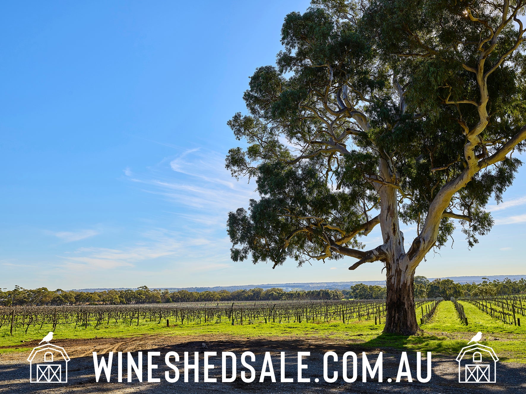 What is the Wine Shed Sale & FAQs