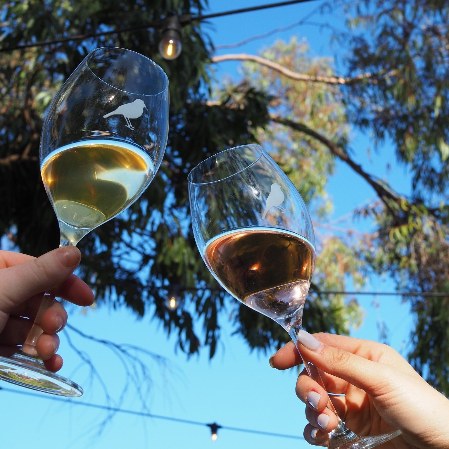 What's on this Spring in McLaren Vale…