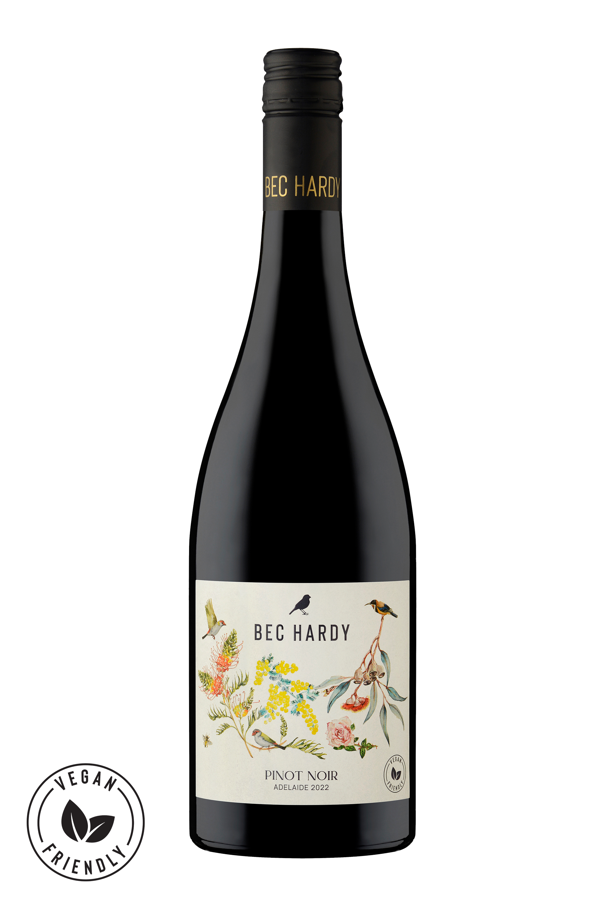 Bec Hardy Pinot Noir 2024 | 12 Pack