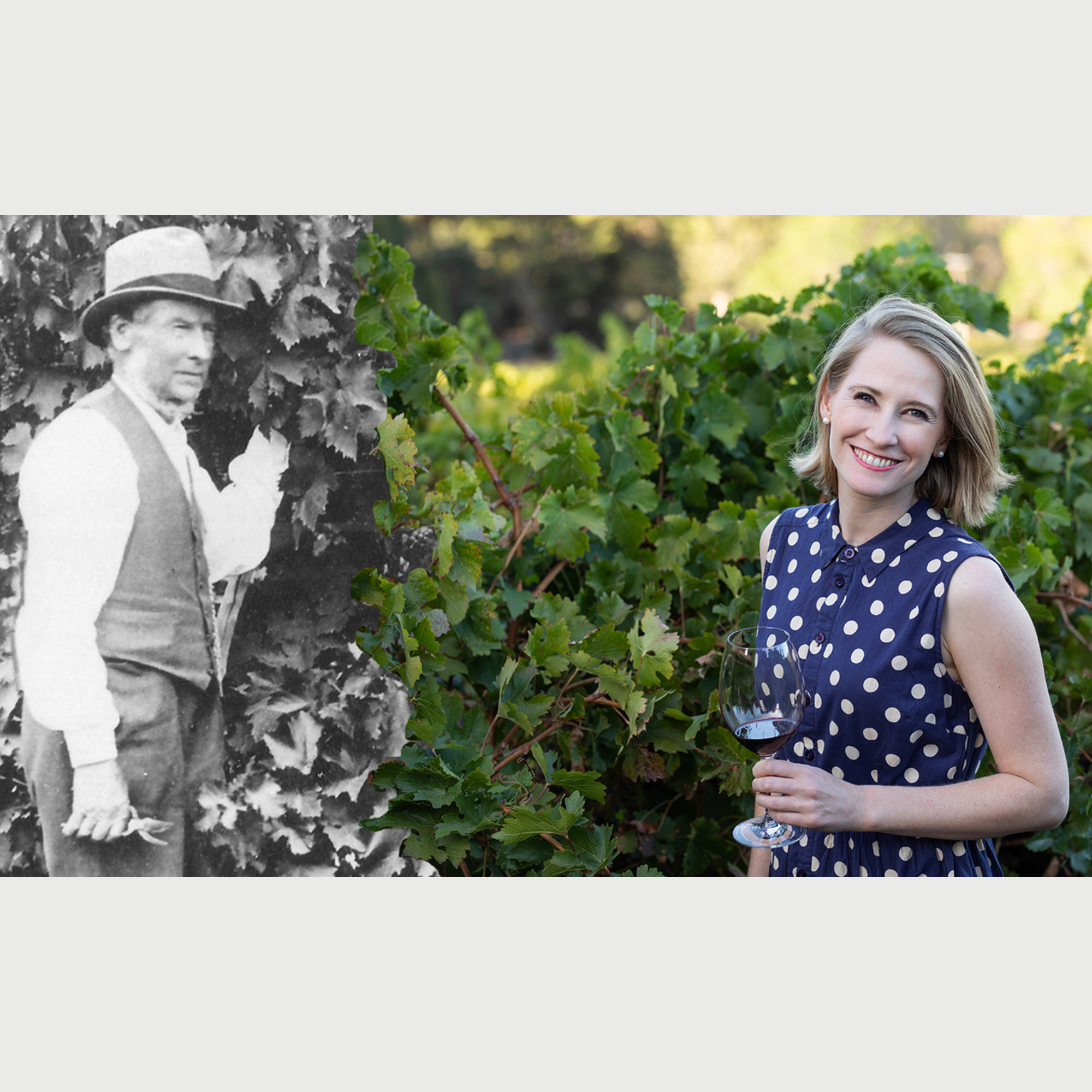 SA History Festival | Discover The Next Generation of Hardy Family Winemakers